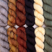 Ravenwood MKAL 2026 by Tellybean Knits