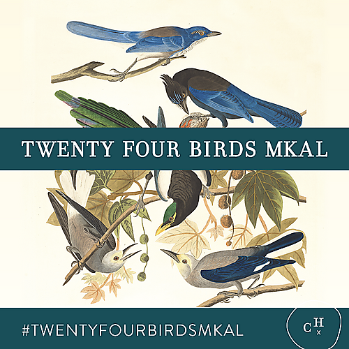 Twenty Four Birds MKAL-Burnished Gradient, Quartet in Aussie Extra Fine Fingering, + 🕊️1 Bird Stitch Marker & 🕊️1 Bird Progress Keeper, FREE SHIPPING TO US [Pattern is NOT included]