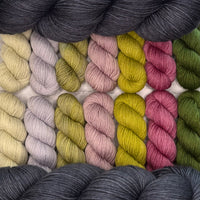 Cosmic Connections MKAL (by Paper Daisy Creations) ✨ Celeste ✨ 2 Full Skeins + 7 Contrasting Colors (14 minis) in Aussie Extra Fine Sock with Nylon + 1 Celestial Themed Stitch Marker ⚜️Pattern NOT included ⚜️
