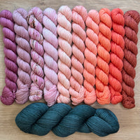 Tabby Road MKAL 2026 (by Casapinka) Aussie Extra Fine Sock with Nylon 10 Mini set #7 with 1 Full Skein of Tealiest & 1 Cat Stitch Marker