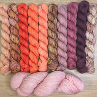Tabby Road MKAL 2026 (by Casapinka) Aussie Extra Fine Sock with Nylon 10 Mini set #9 with 1 Full Skein of Prima Ballerina & 1 Cat Stitch Marker (Copy)