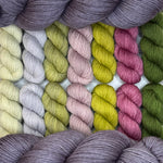 Cosmic Connections MKAL (by Paper Daisy Creations) ✨ Celeste ✨ 2 Full Skeins + 7 Contrasting Colors (14 minis) in Aussie Extra Fine Sock with Nylon + 1 Celestial Themed Stitch Marker ⚜️Pattern NOT included ⚜️