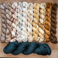Tabby Road MKAL 2026 (by Casapinka) Aussie Extra Fine Sock with Nylon 10 Mini set #2 with Full Skien of Cashmere Pearl