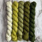 Verdant 5 Gradient Minis, (Five 20 gram skeins) Aussie Extra Fine Sock with Nylon (Copy)