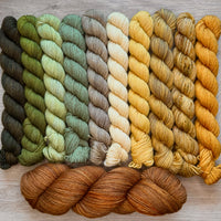Tabby Road MKAL 2026 (by Casapinka) Aussie Extra Fine Sock with Nylon 10 Mini set #5 with 1 Full Skein of Leather & 1 Cat Stitch Marker