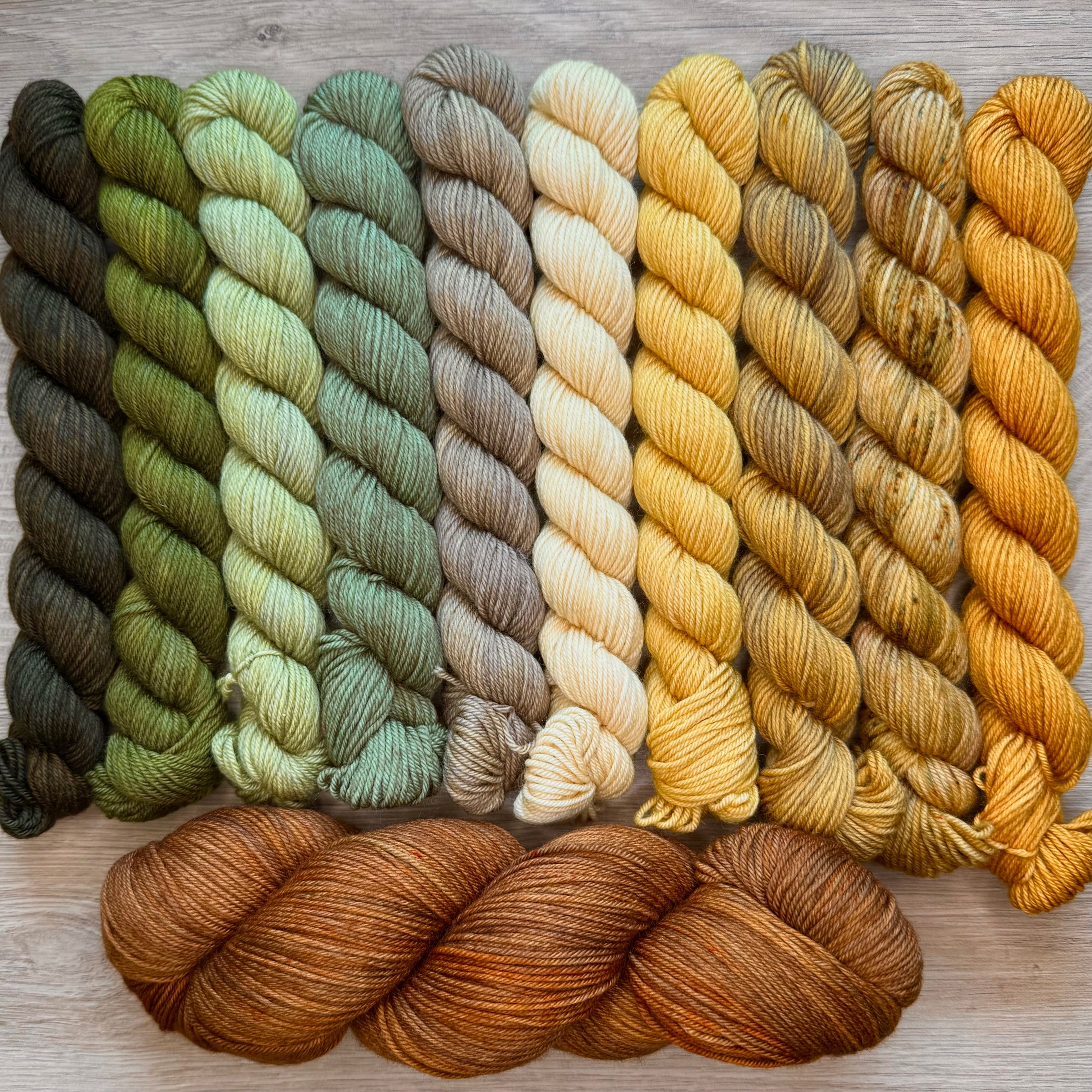 Tabby Road MKAL 2026 (by Casapinka) Aussie Extra Fine Sock with Nylon 10 Mini set #5 with 1 Full Skein of Leather & 1 Cat Stitch Marker