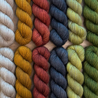 Ravenwood MKAL 2026 by Tellybean Knits