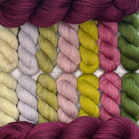 Cosmic Connections MKAL (by Paper Daisy Creations) ✨ Celeste ✨ 2 Full Skeins + 7 Contrasting Colors (14 minis) in Aussie Extra Fine Sock with Nylon + 1 Celestial Themed Stitch Marker ⚜️Pattern NOT included ⚜️