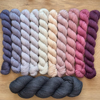 Tabby Road MKAL 2026 (by Casapinka) Aussie Extra Fine Sock with Nylon 10 Mini set #4 with 1 Full Skein of After Midnight & 1 Cat Stitch Marker