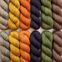 Ravenwood MKAL 2026 by Tellybean Knits