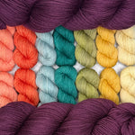 Cosmic Connections MKAL (by Paper Daisy Creations) ✨ Supernova ✨ 2 Full Skeins + 7 Contrasting Colors (14 minis) in Aussie Extra Fine Sock with Nylon + 1 Celestial Themed Stitch Marker ⚜️Pattern NOT included ⚜️
