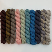 Ten Skein Mini Set 2463 + Stitch Marker, Aussie Extra Fine Sock with Nylon
