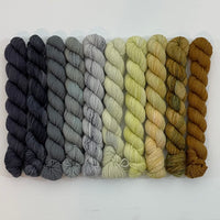Ten Skein Mini Set 2467 + Stitch Marker, Aussie Extra Fine Sock with Nylon