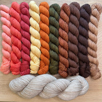 Tabby Road MKAL 2026 (by Casapinka) Aussie Extra Fine Sock with Nylon 10 Mini set #6 with 1 Full Skein of Cashmere Pearl & 1 Cat Stitch Marker