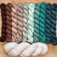 Tabby Road MKAL 2026 (by Casapinka) Aussie Extra Fine Sock with Nylon 10 Mini set #3 with 1 Full Skein of Oyster & 1 Cat Stitch Marker