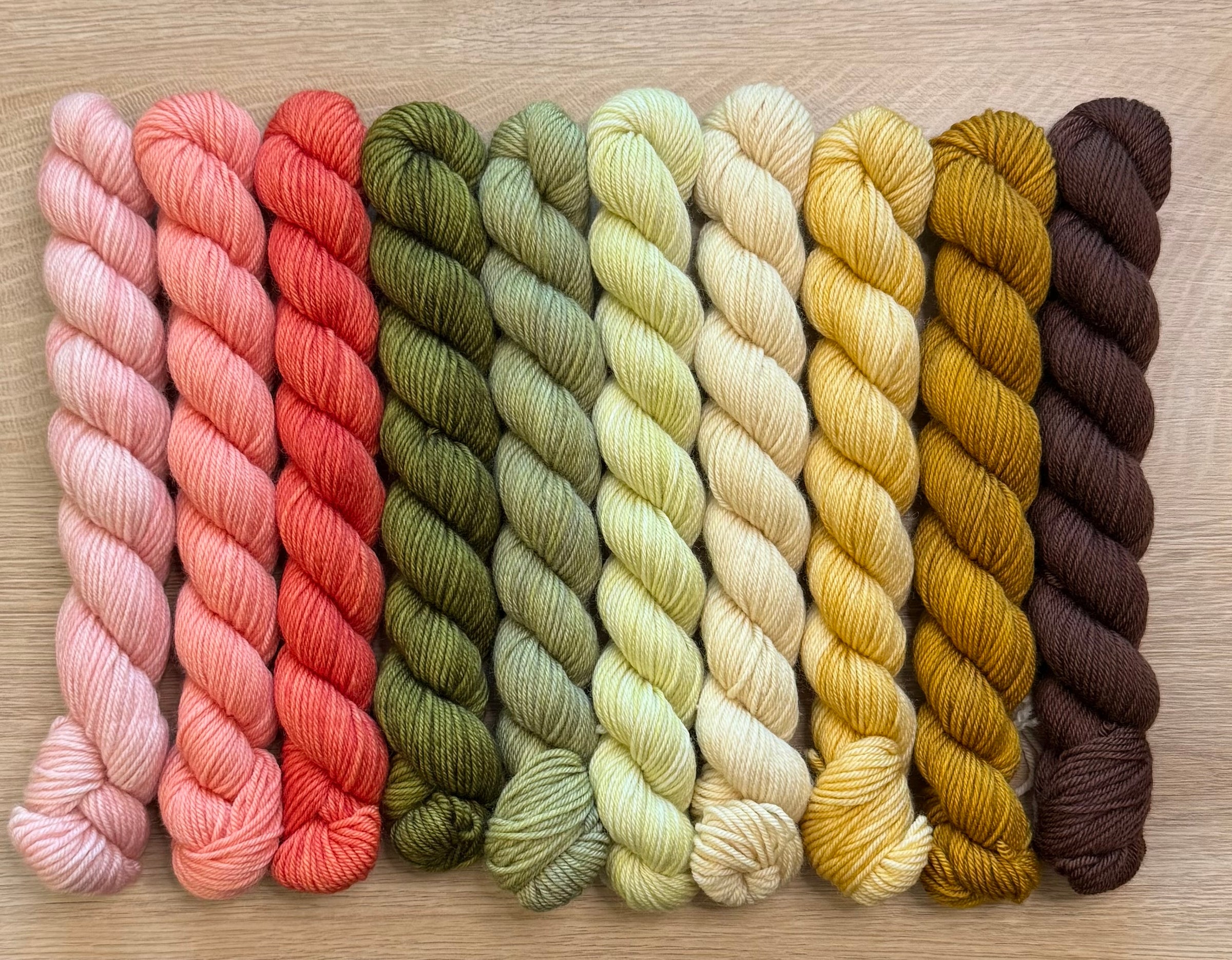 Ten Skein Floral Mini Set+ Stitch Marker, Perfect for Venation Shawl, Striation Scarf, Aussie Extra Fine Sock with Nylon