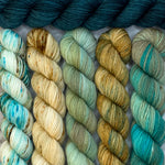 Snaggletooth Shawl by Ambah O'Brien, Aqua Terra Set