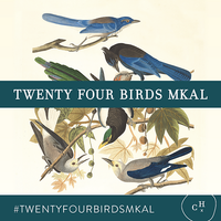 Twenty Four Birds MKAL Aussie Extra Fine MERINO LINEN Quartet (Bird in the Bush Set# 2487), + 🕊️1 Bird Stitch Marker & 🕊️1 Bird Progress Keeper, FREE SHIPPING TO US [Pattern is NOT included]