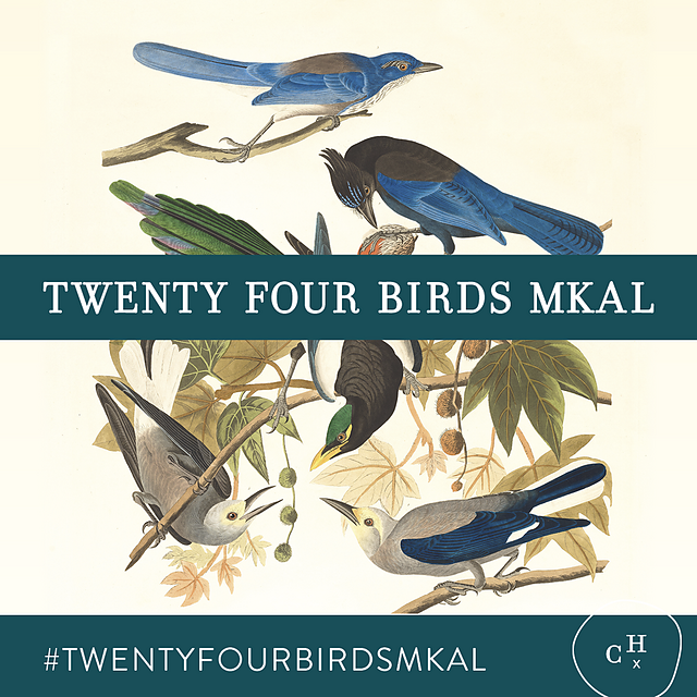 Twenty Four Birds MKAL Aussie Extra Fine MERINO LINEN Quartet (Bird in the Bush Set# 2487), + 🕊️1 Bird Stitch Marker & 🕊️1 Bird Progress Keeper, FREE SHIPPING TO US [Pattern is NOT included]