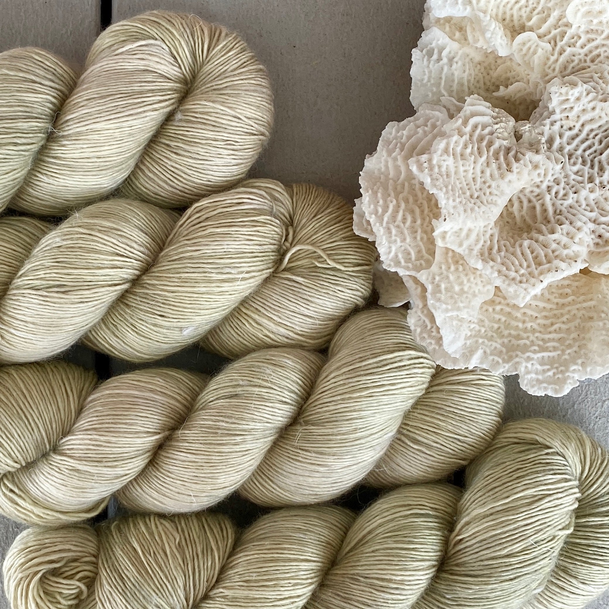 Sea Oats, Merino Linen Fingering Weight