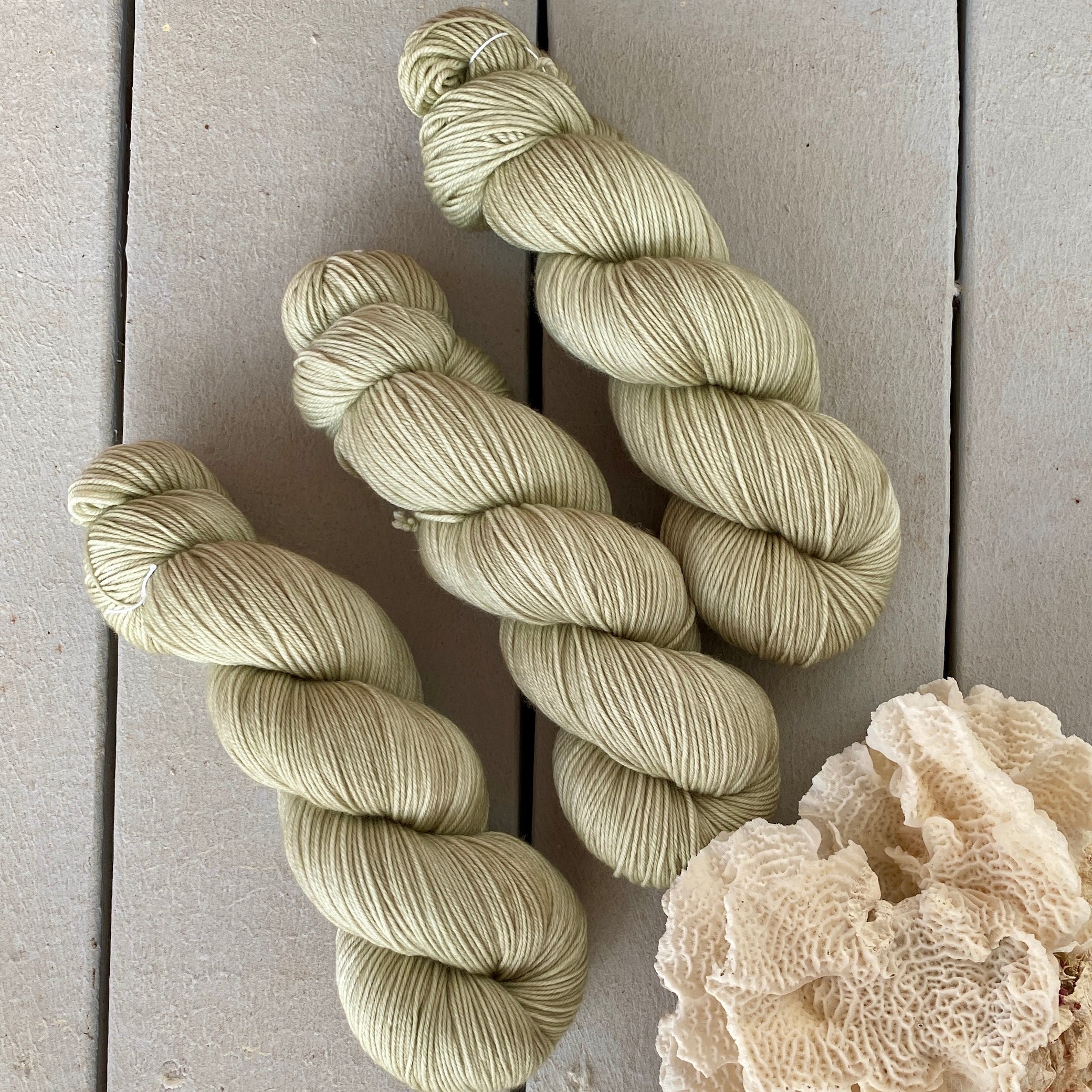 Vichyssoise, Aussie Extra Fine Fingering